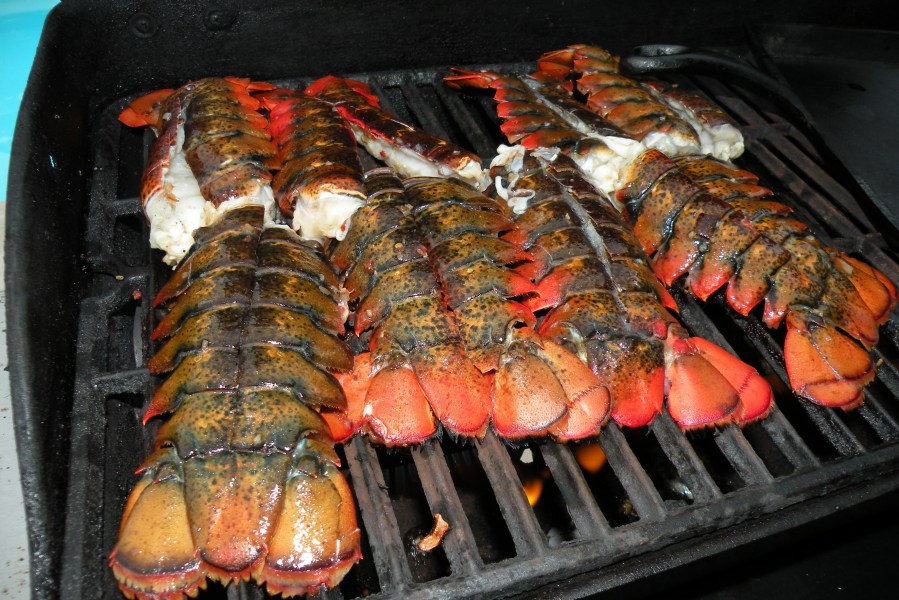 Lobster1