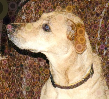 Brewed in Percolator